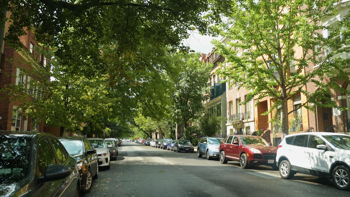 Albany Personal Injury Attorney at Law, Brandon J. Broderick — image 3