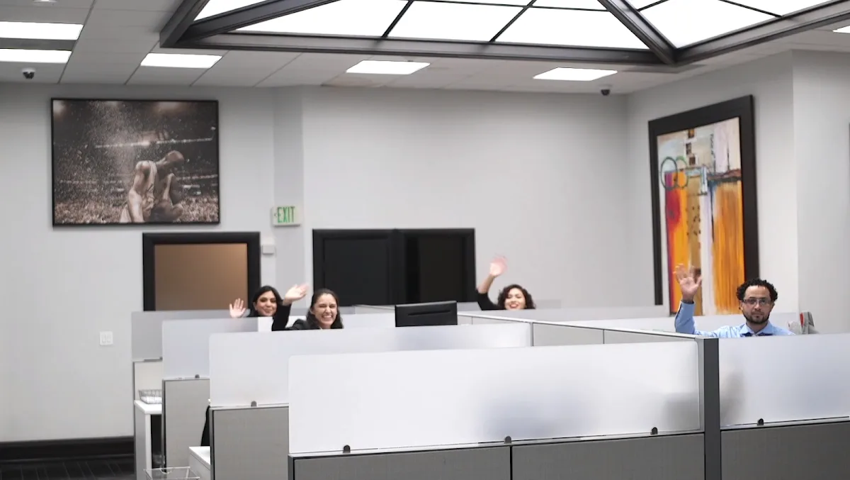 Arash Law — image 4