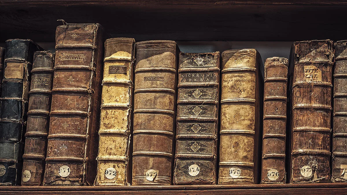 Attorney Joseph Kelly Levasseur, PLLC — image 1