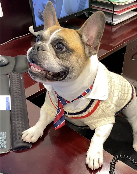 Auger & Auger Accident and Injury Lawyers — image 3