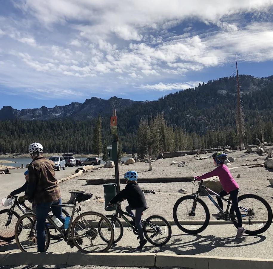 Bicycle Law — image 2