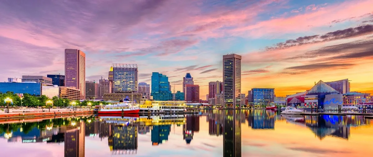 D'Amore Personal Injury Law — image 3