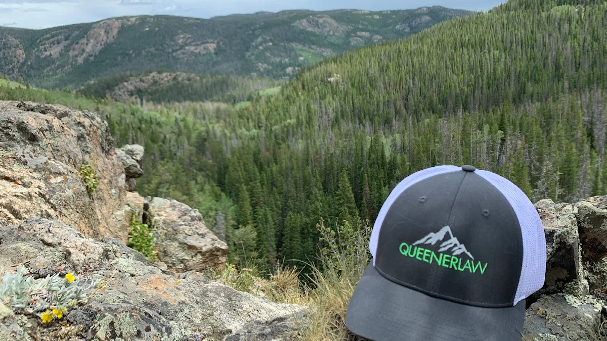 Dulin McQuinn Young, LLP — image 4