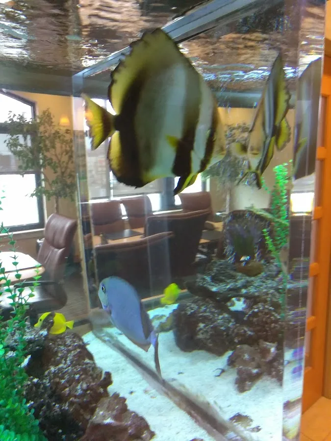 Gary S Nitsche, P. A.