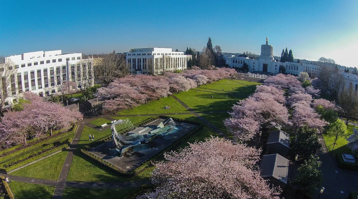 Gilroy Napoli Short — image 4