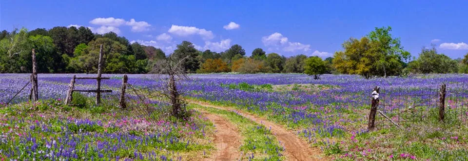 Glen Larson Law Injury Attorneys — image 4