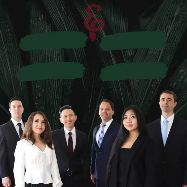 HEW & BORDENAVE A Limited Liability Law Partnership LLP — image 3