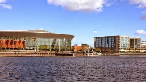 Knapp Moss — image 1