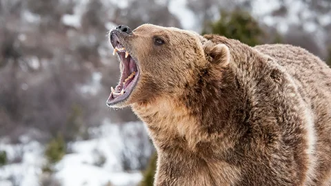 Law Office of Jason Skala, LLC