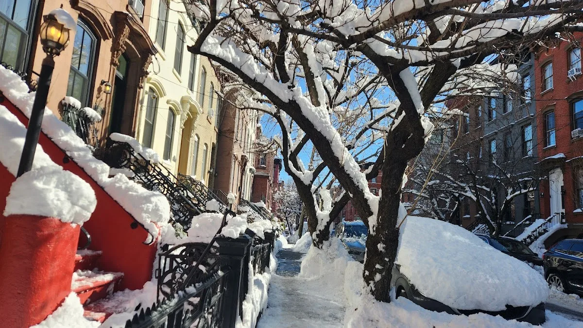 Law Offices of David A. DiBrigida — image 4