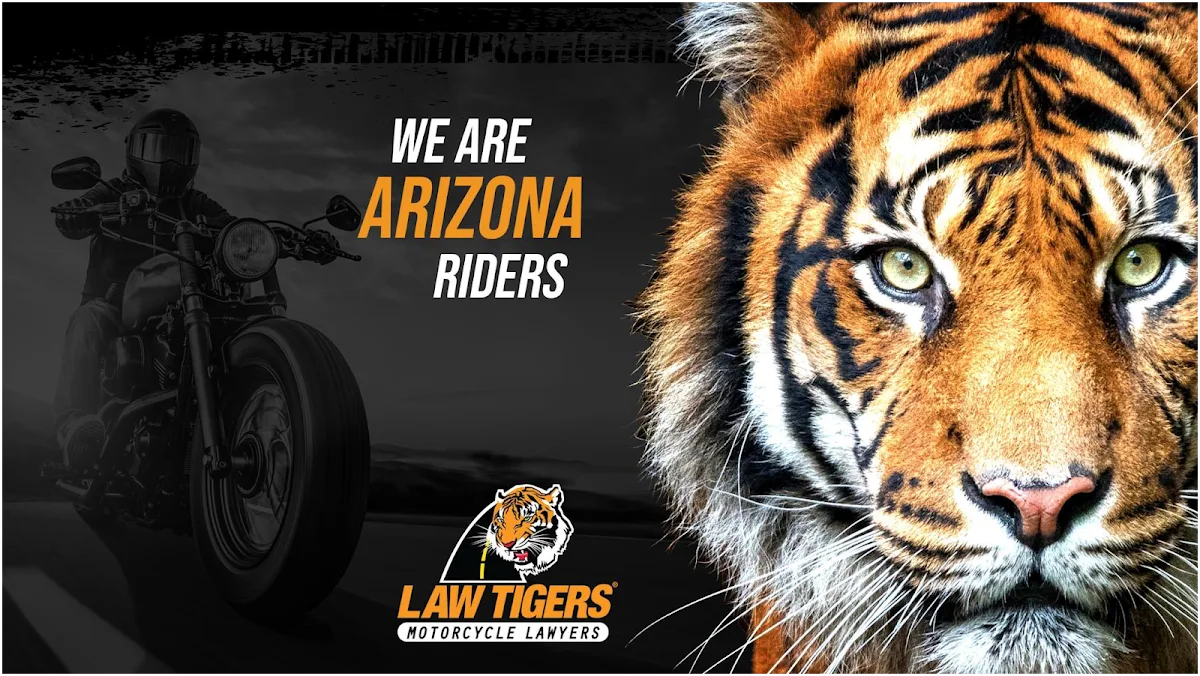 Law Tigers — image 1