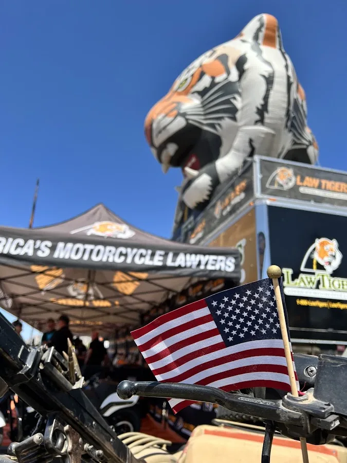 Law Tigers — image 3