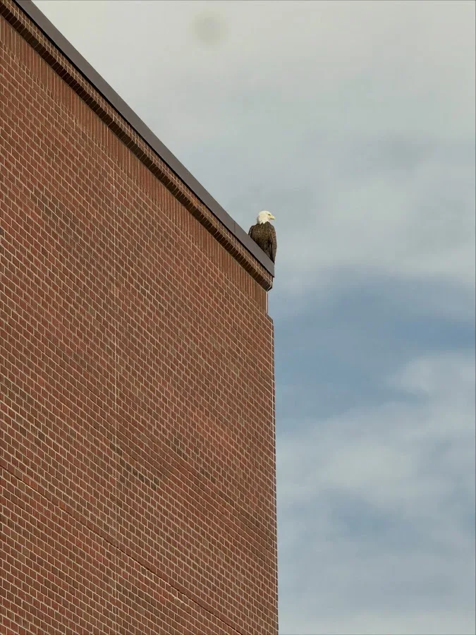 Lawrence Law Firm — image 2