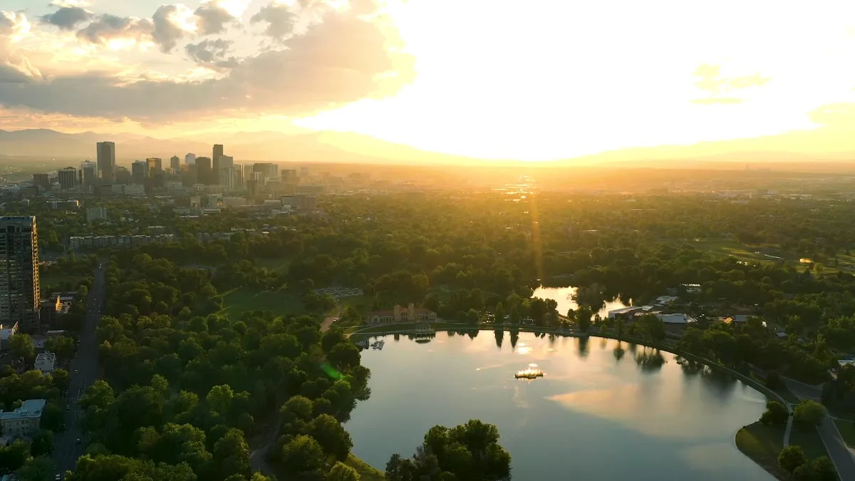 Levine Law LLC - Colorado Springs Injury Lawyer — image 3