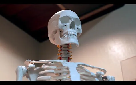 Michael D. Waks Long Beach Personal Injury Lawyer & Car Accident Attorney — image 2