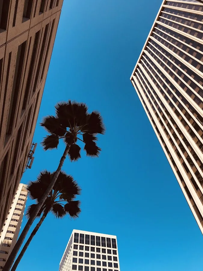 Michael P Healy Attorney at Law — image 1