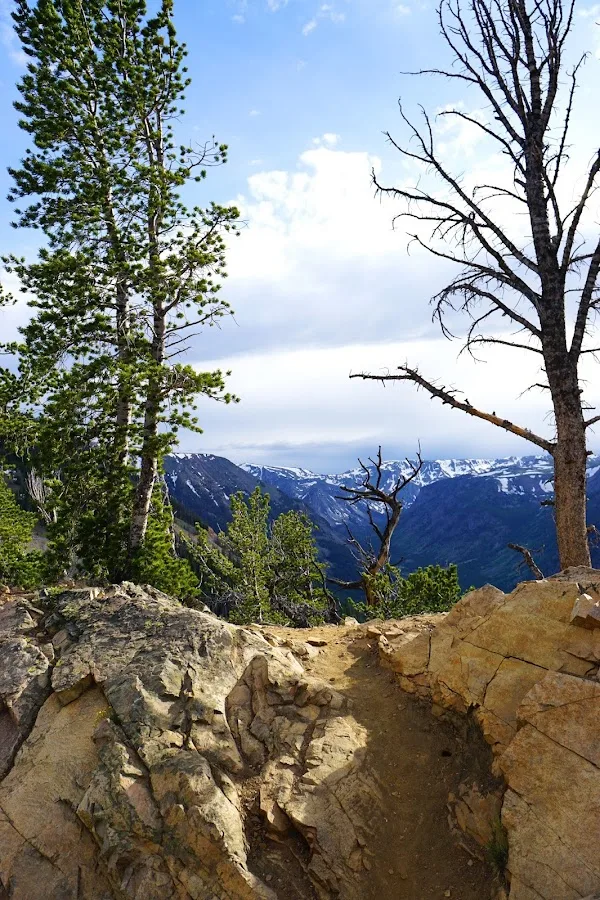 Miller Tourtlotte Law — image 4