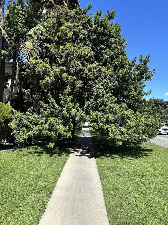 Morgan & Morgan — image 2