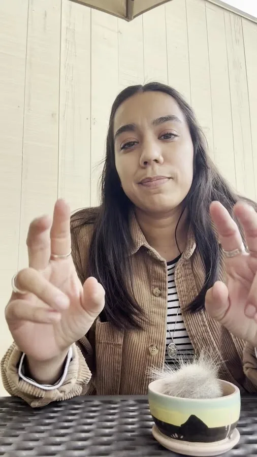 MVP Accident Attorneys | Riverside Car Accident & Personal Injury Attorneys — image 3