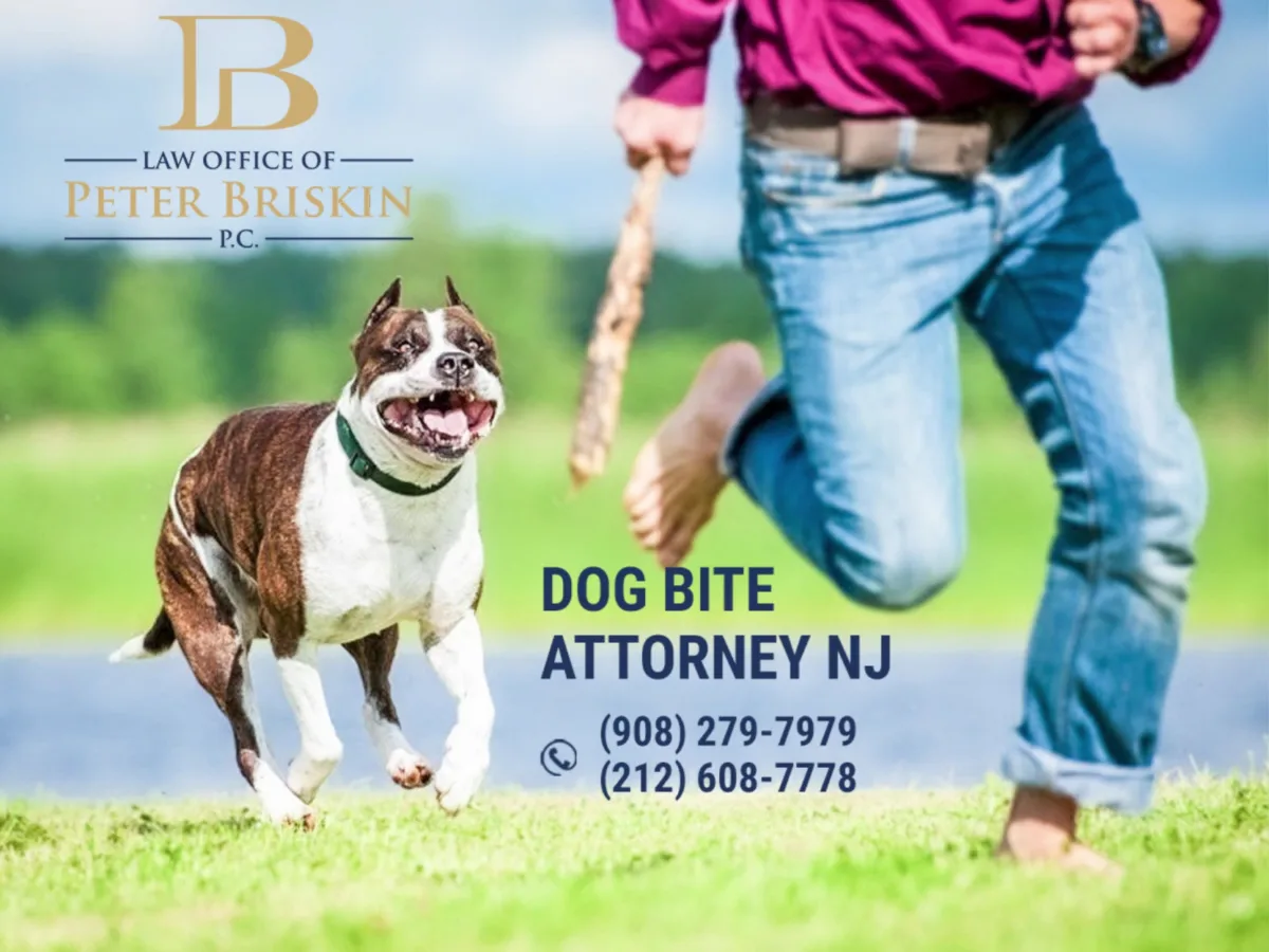 Personal Injury Lawyer Peter Briskin — image 4