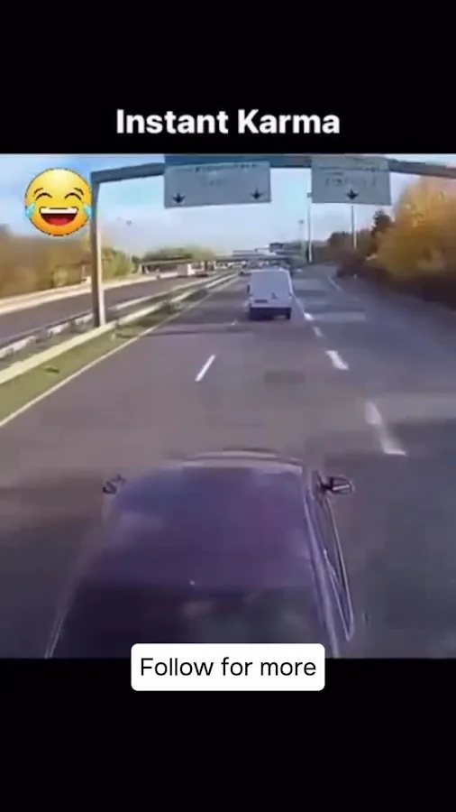 Peter Michael Law, LLC — image 3