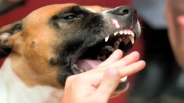 Philly Personal Injury Lawyer Jeffrey H. Penneys, PC — image 3