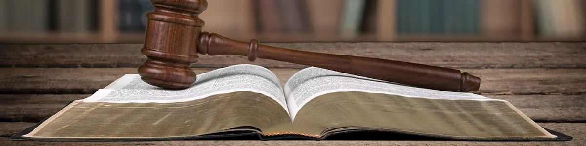 Reyna Law Firm — image 4