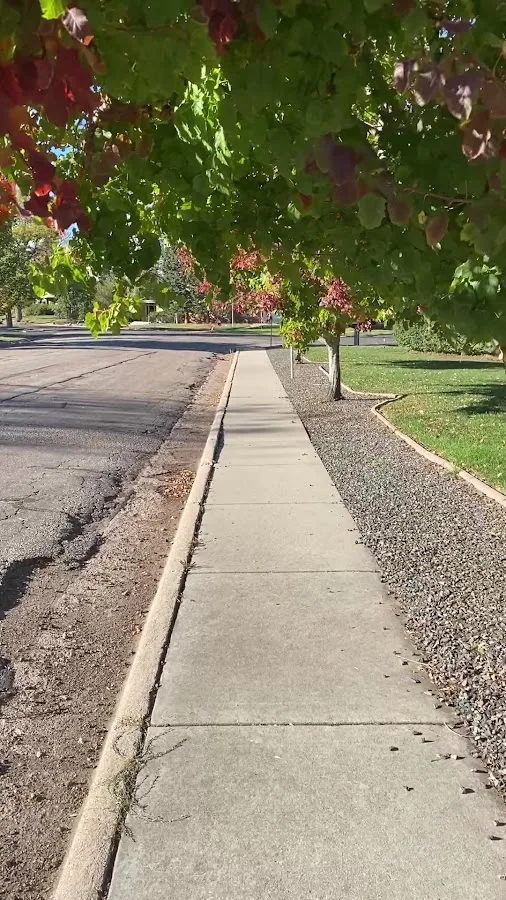 S|A|S Legal Group — image 3