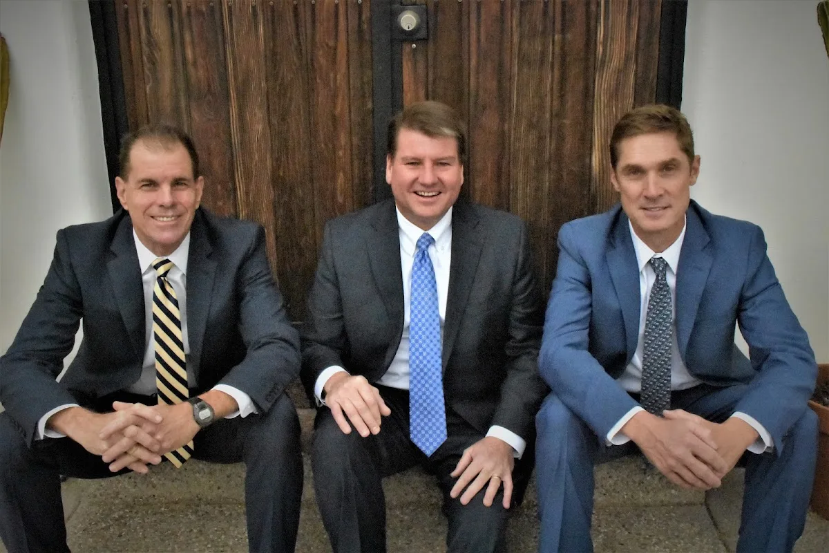 Schmidt, Sethi & Akmajian — image 3