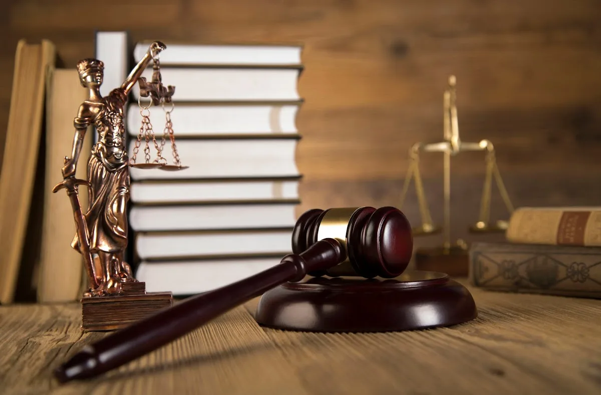 Schmidt, Sethi & Akmajian — image 4