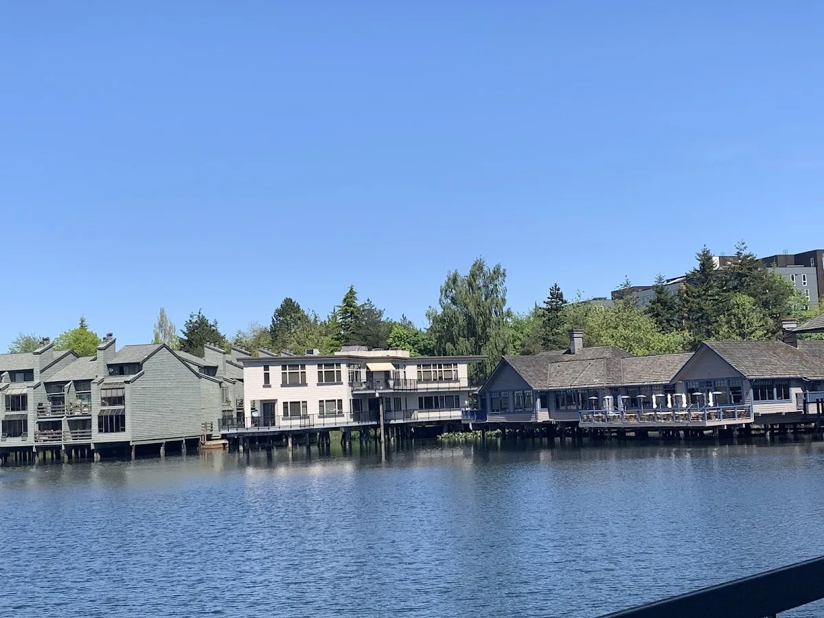 Styles Law — image 4