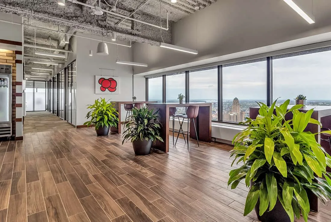 The Buffalo Injury Law Firm — image 2