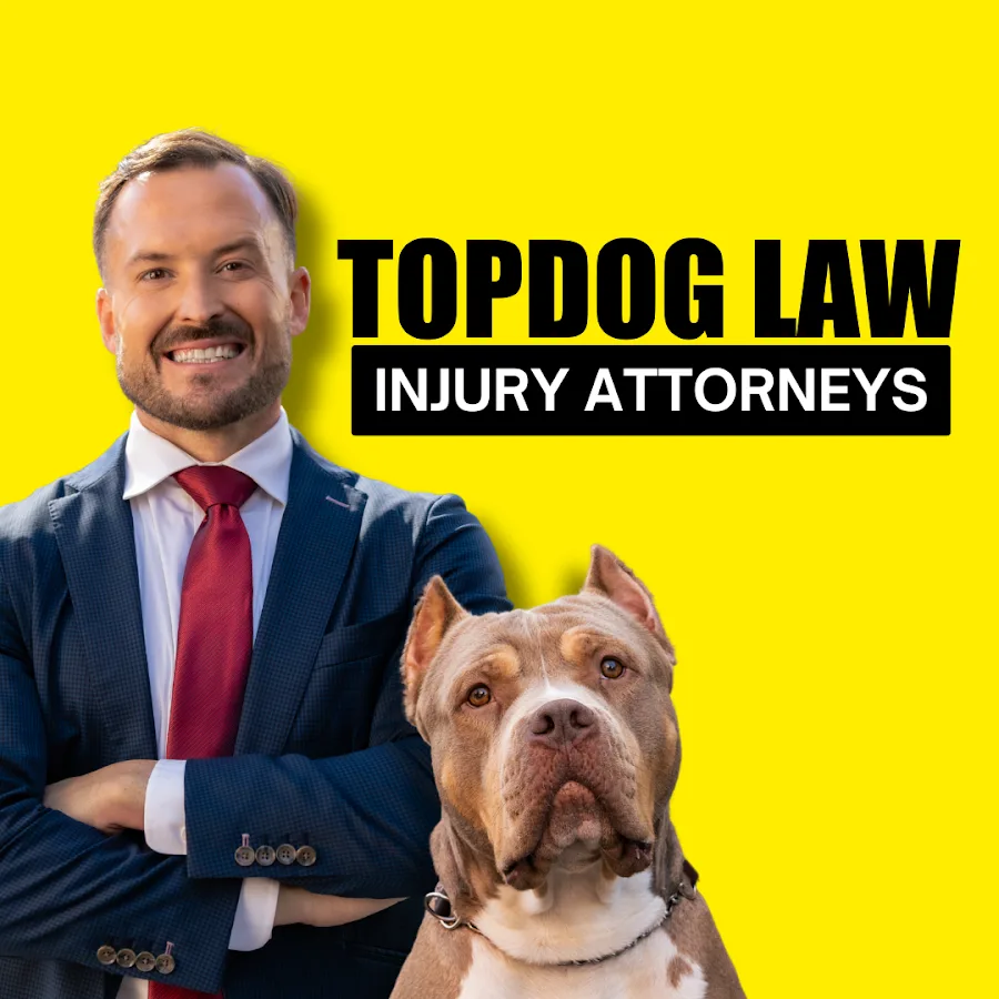 TopDog Law Personal Injury Lawyers — image 1