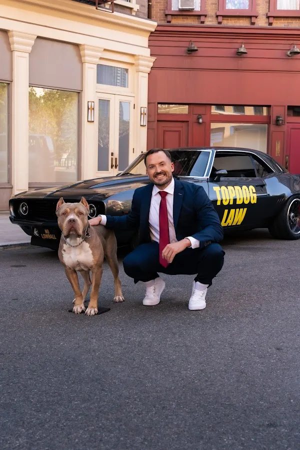 TopDog Law Personal Injury Lawyers — image 2